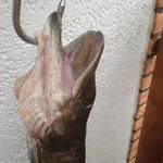 Hoppelnase Mit Eigener Sauna * Langenstein