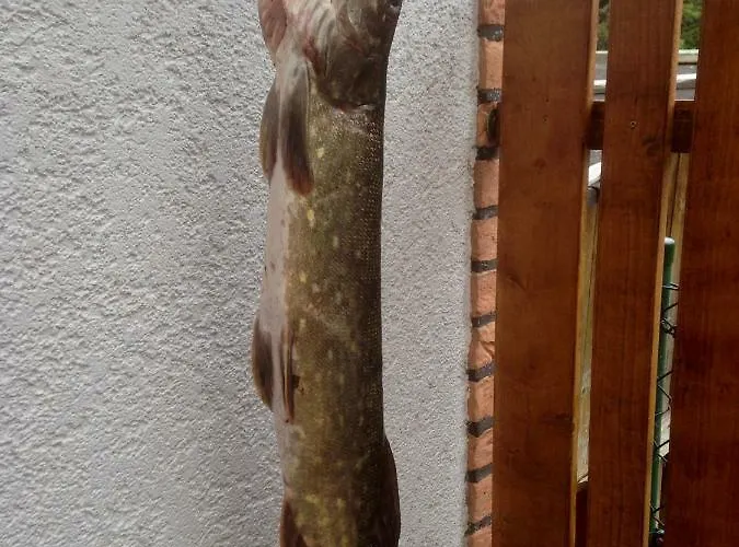 Hoppelnase Mit Eigener Sauna *