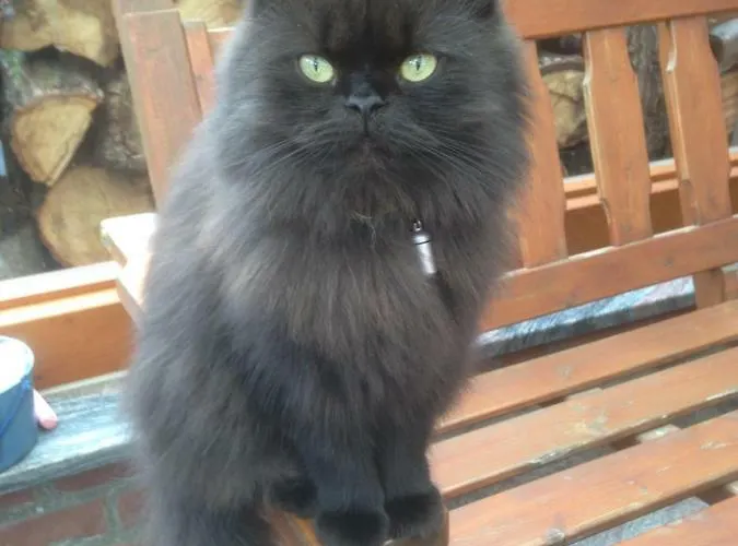 Hoppelnase Mit Eigener Sauna Lejlighed