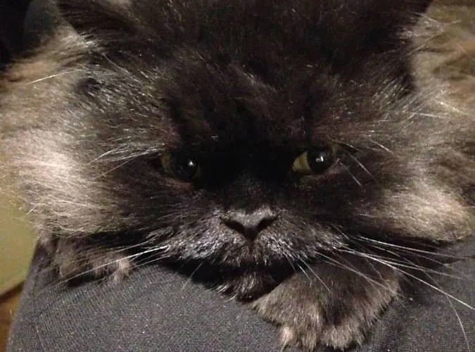 Hoppelnase Mit Eigener Sauna *