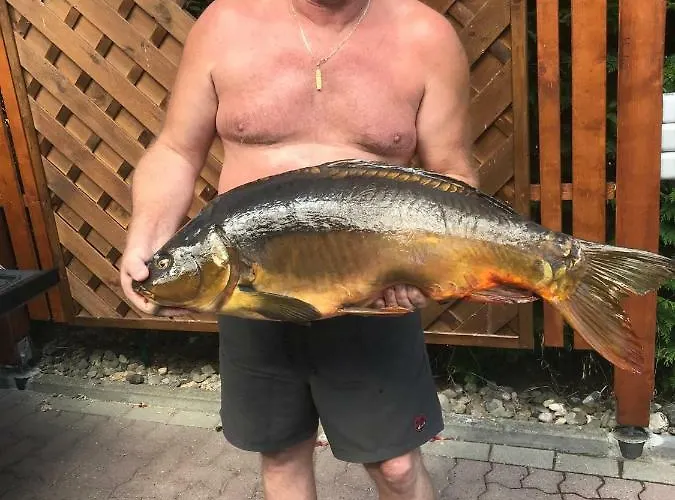 Hoppelnase Mit Eigener Sauna Apartment Langenstein