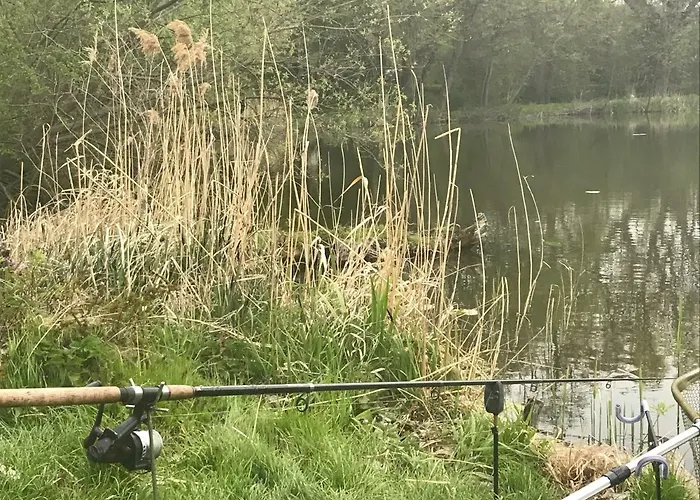 Hoppelnase Mit Eigener Sauna Apartment